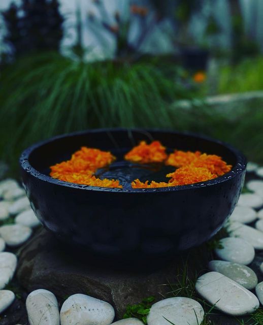 bowl